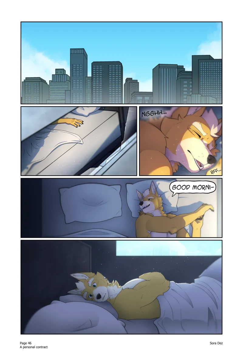A Personal Contract 50