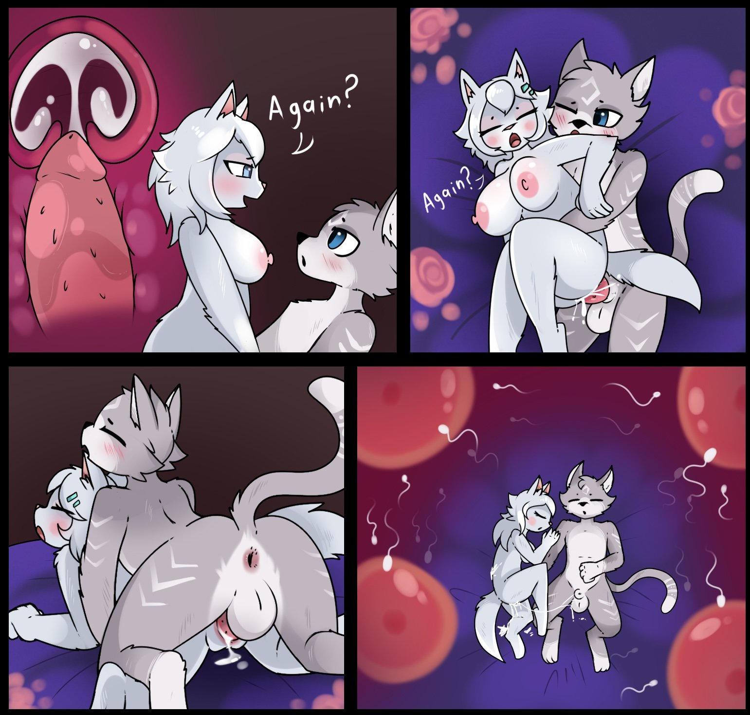 Adventures of Haiiroyuki 15