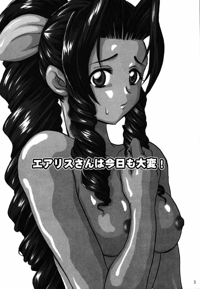 Aerith-san wa kyou mo taihen! 2