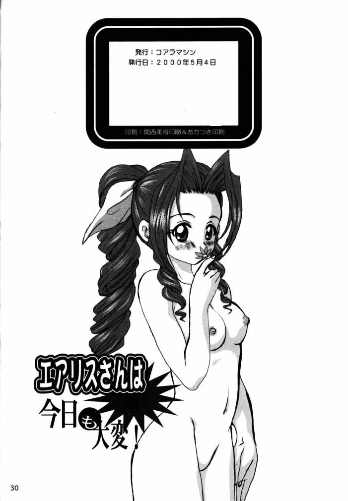 Aerith-san wa kyou mo taihen! 29