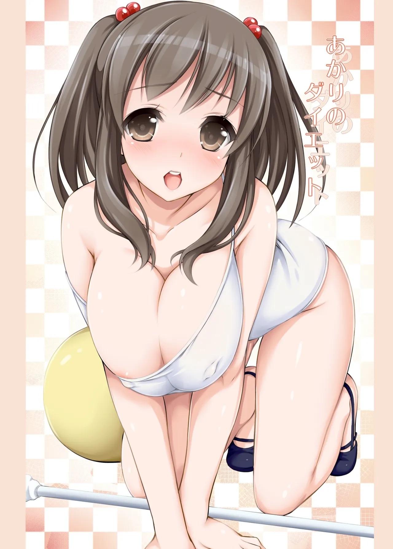 Akari no Diet 1
