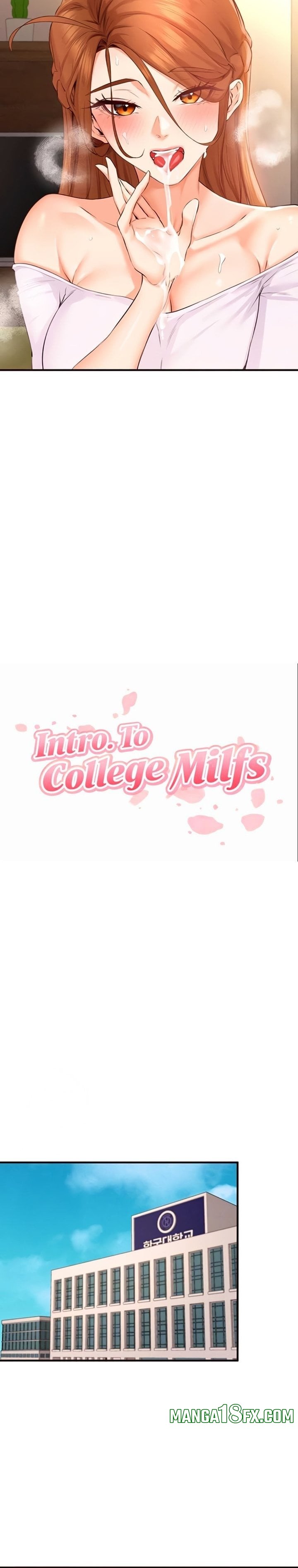 An Introduction to MILFs 8