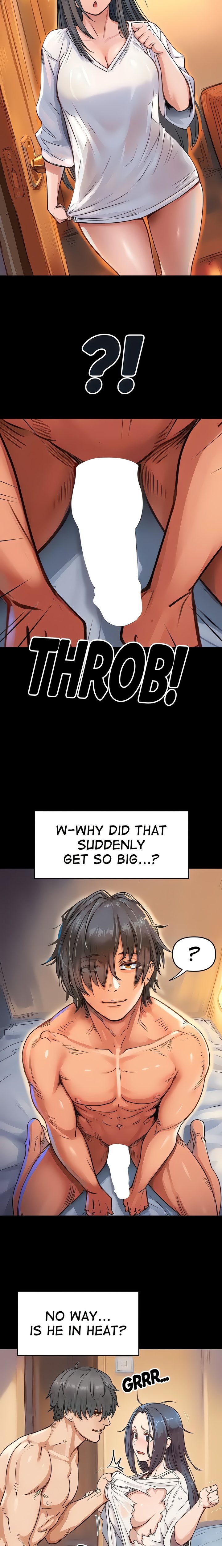 Big Dog 3