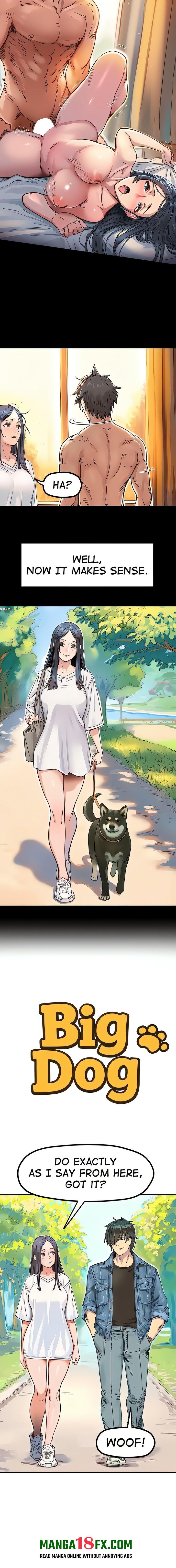 Big Dog 2