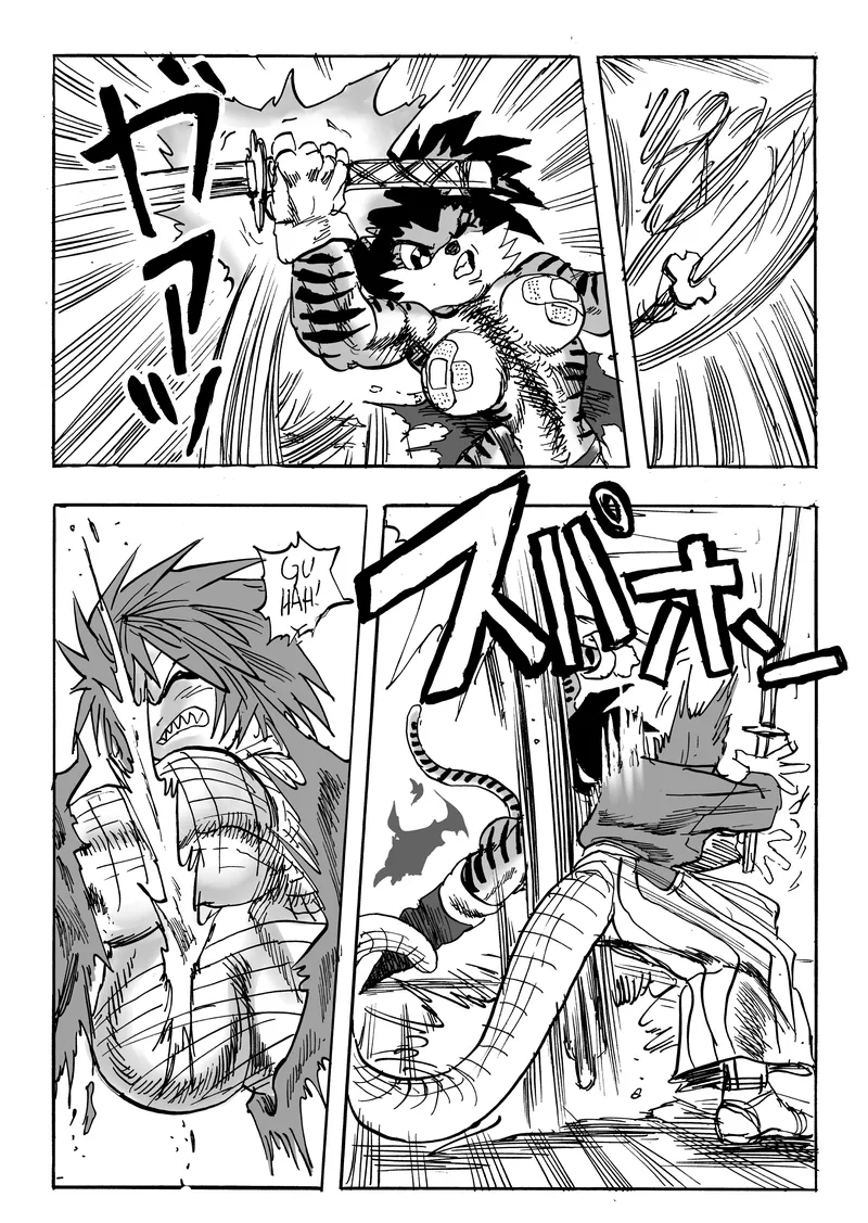 Boken Beast 25