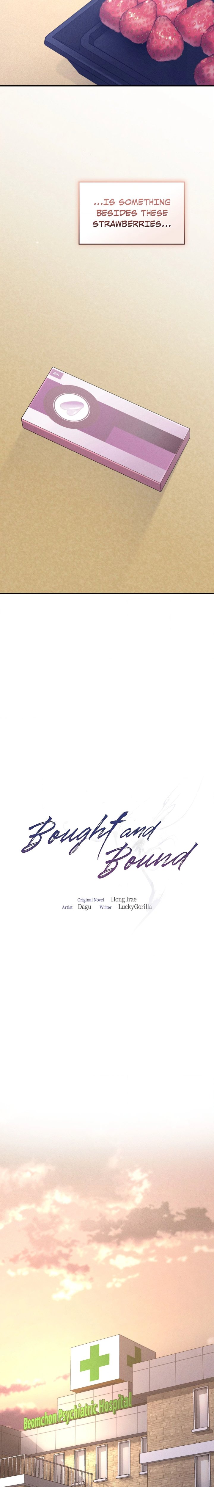 Bought and Bound 13