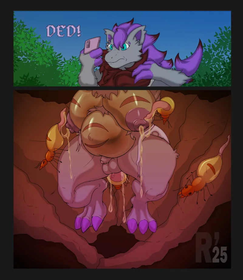 Breeding Ants 5