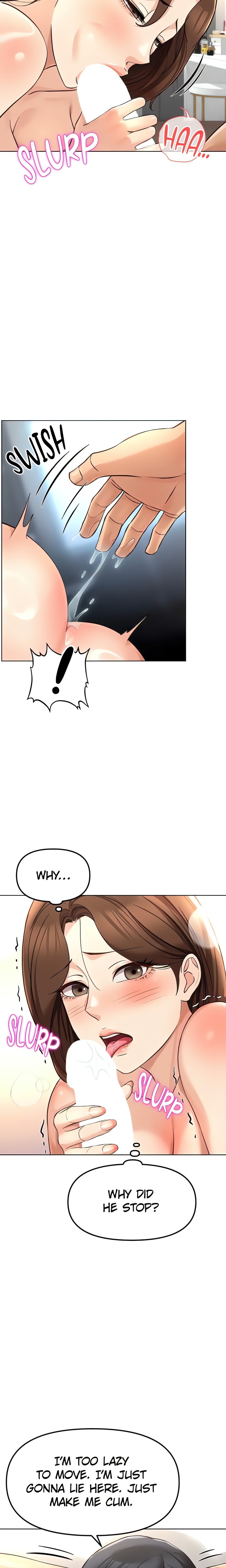 Common Sense Manipulation Program 2