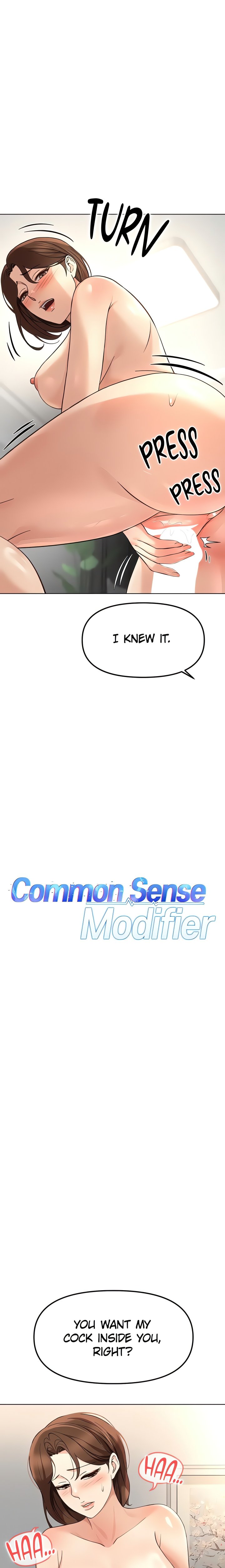 Common Sense Manipulation Program 4