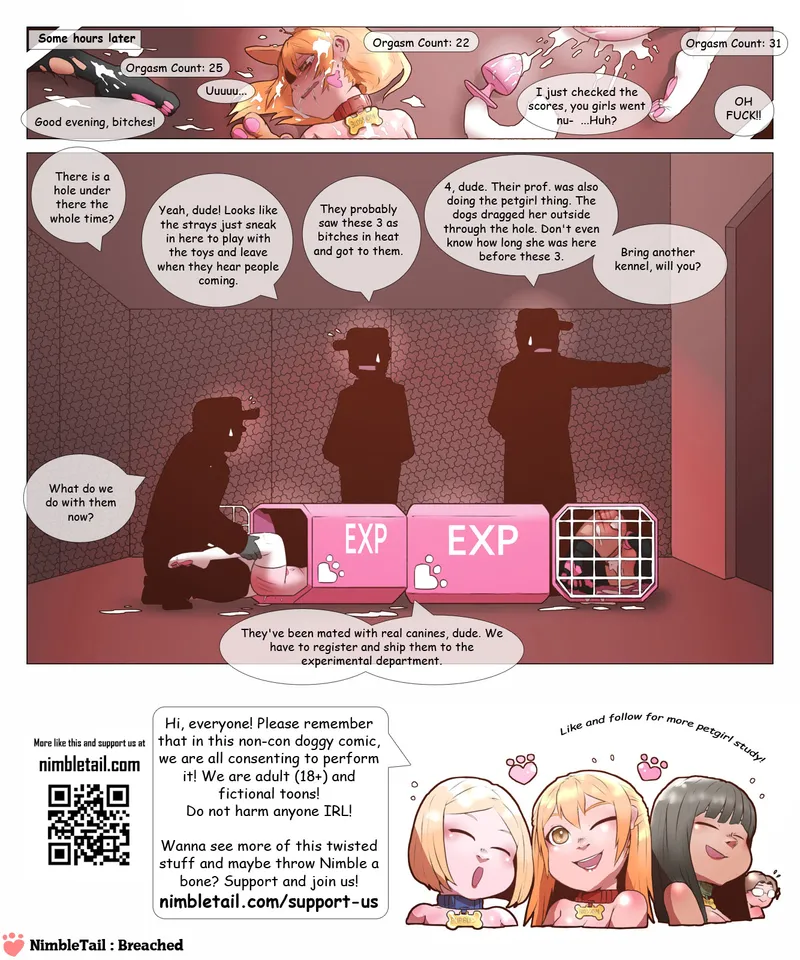ComPet – Breached 6