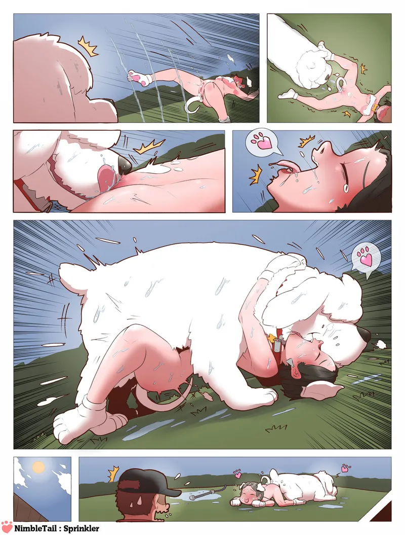 ComPet – Sprinkler! 4