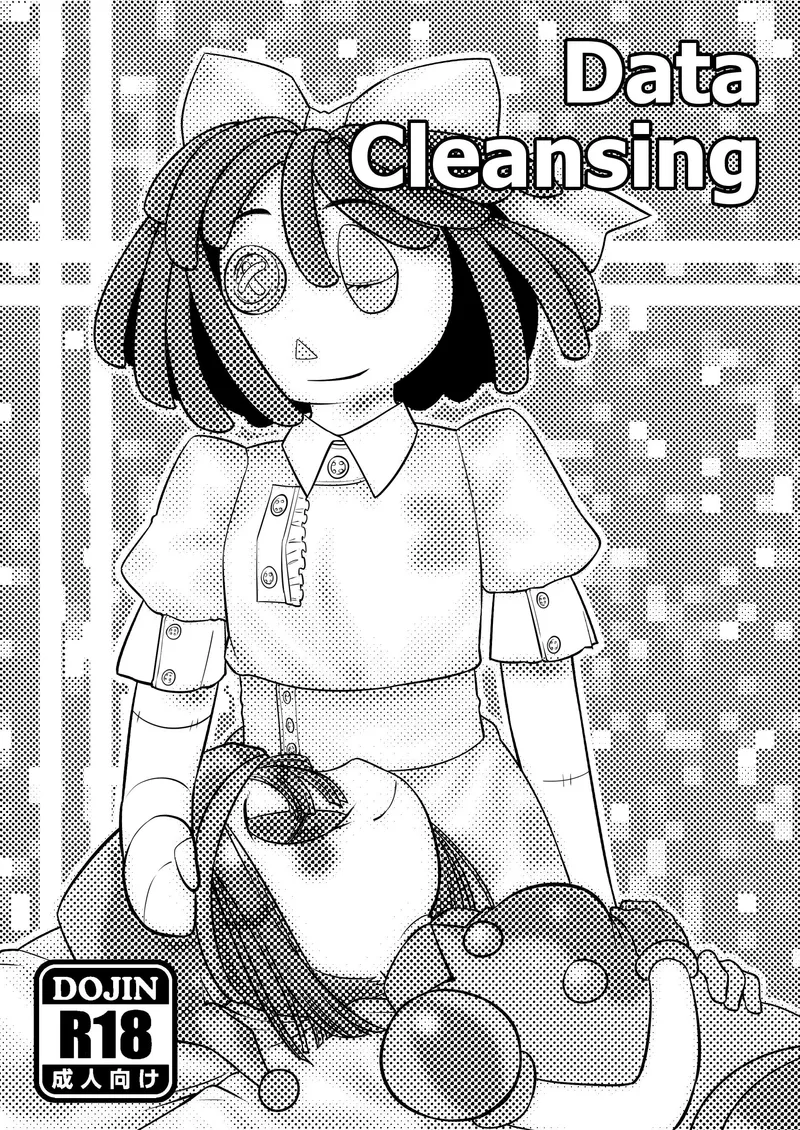 Data Cleansing 2