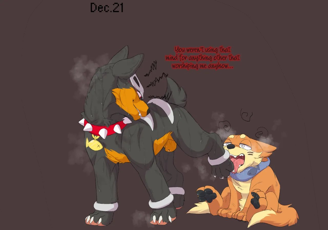 Dogcember 19
