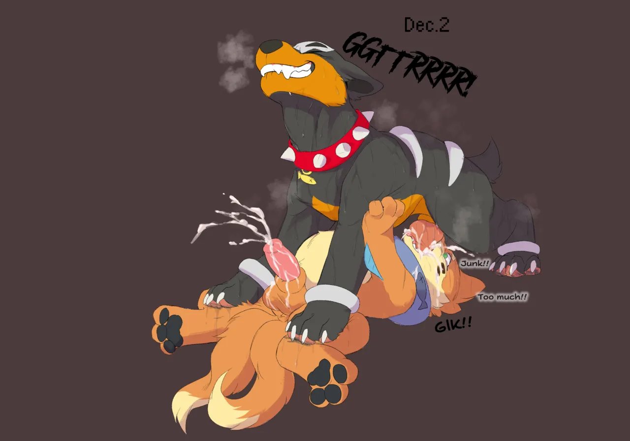 Dogcember 3