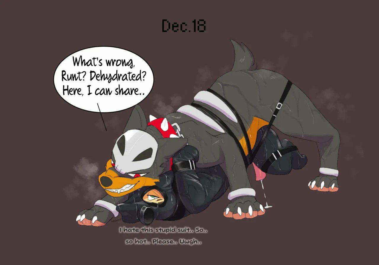 Dogcember 25