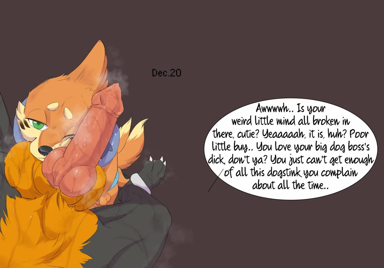 Dogcember 29