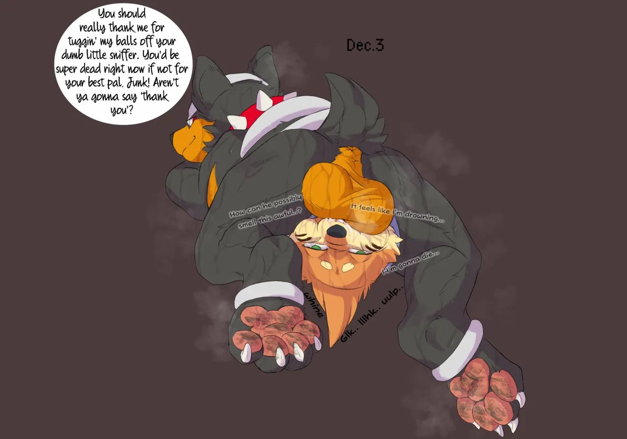 Dogcember 4