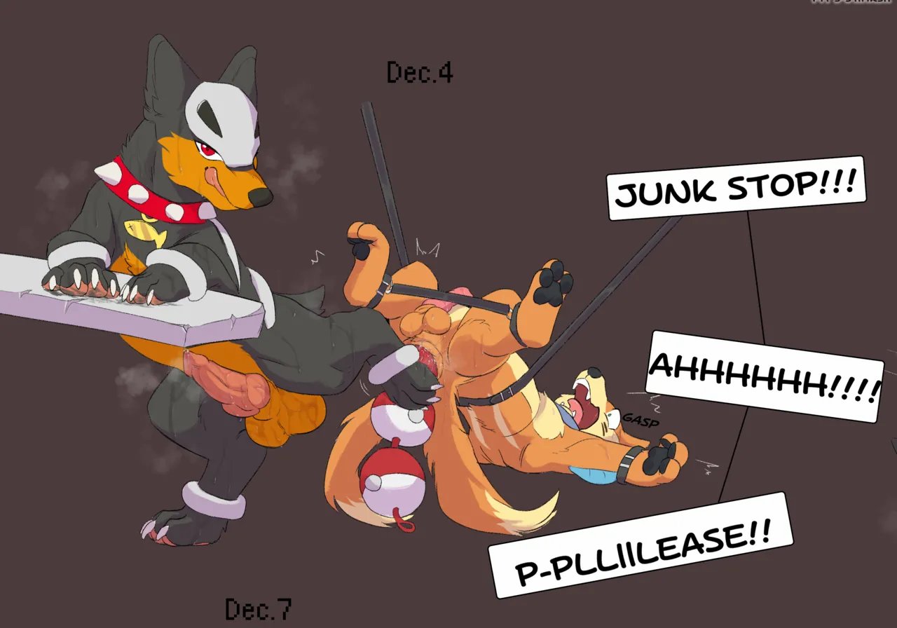 Dogcember 5