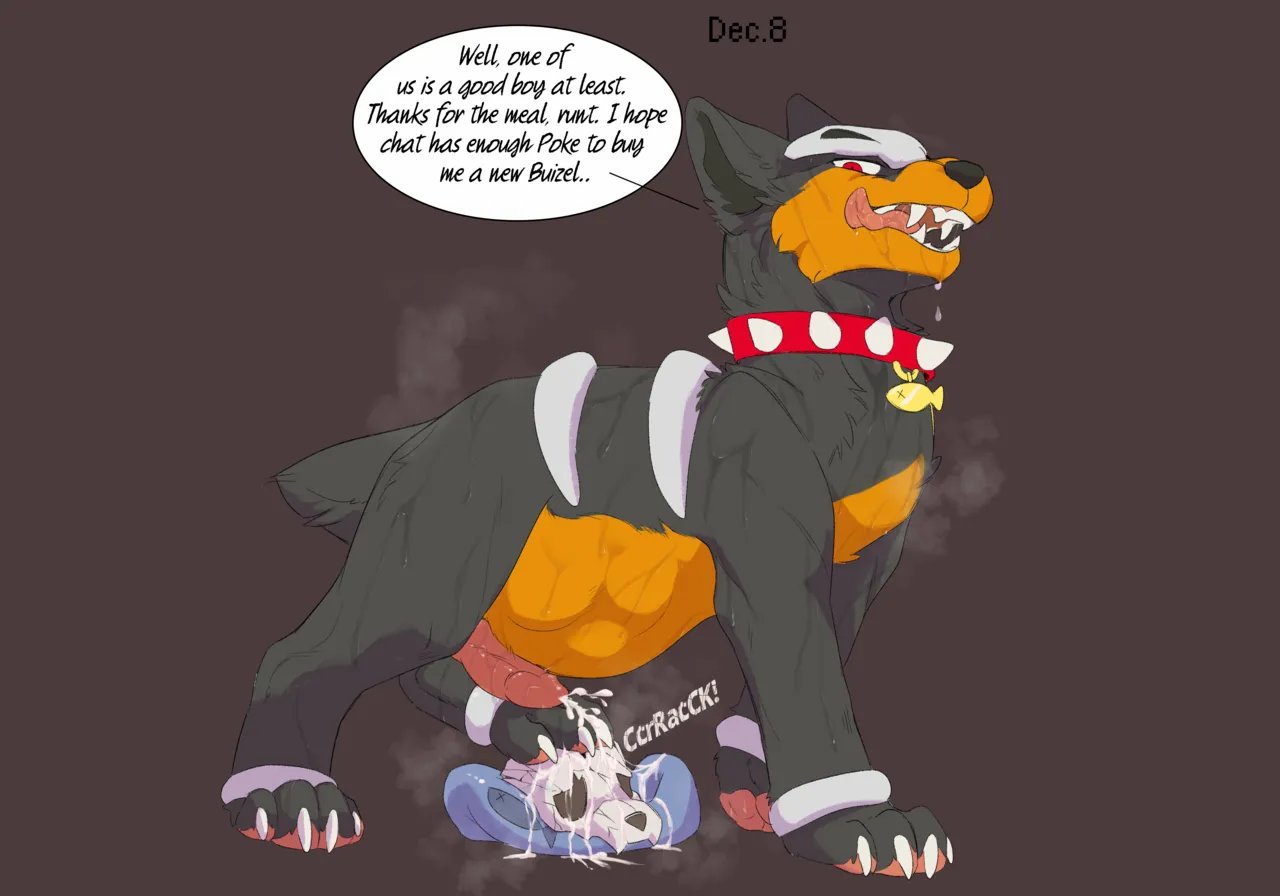 Dogcember 9