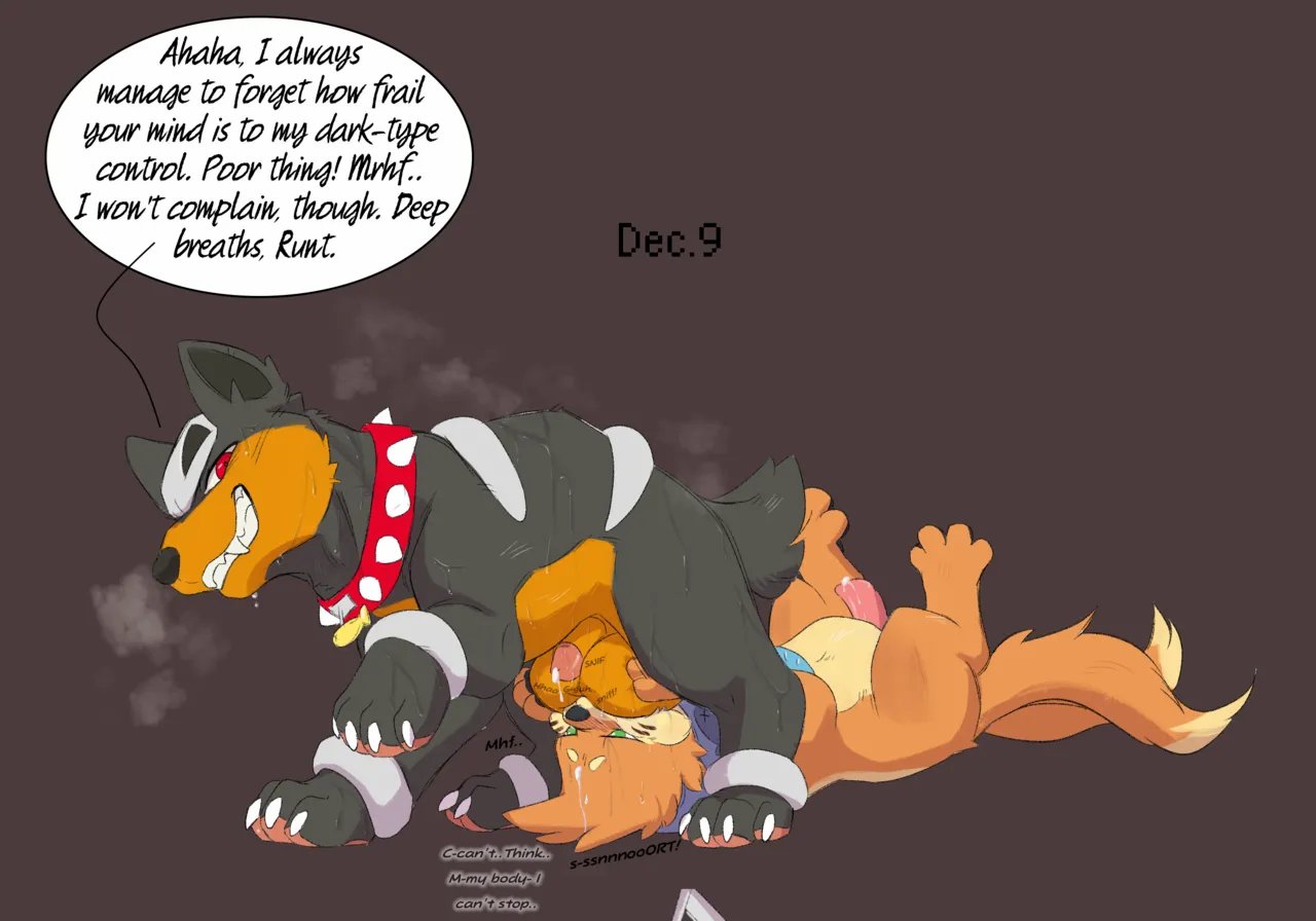 Dogcember 10