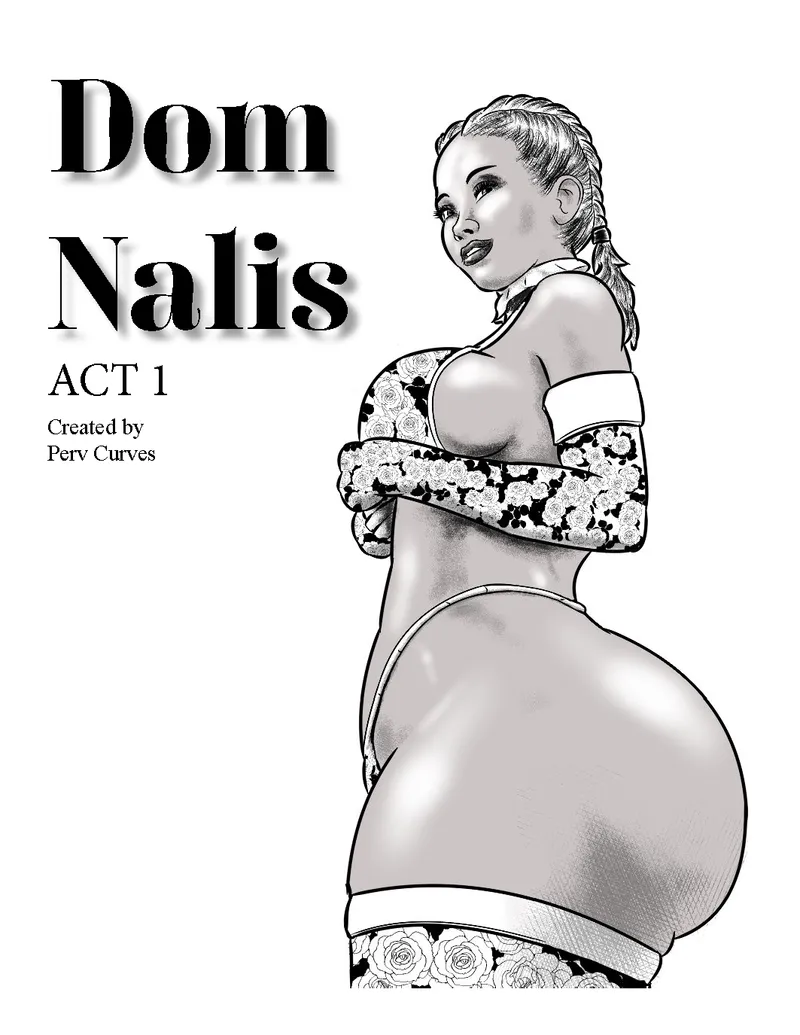 Dom Nalis 1 1