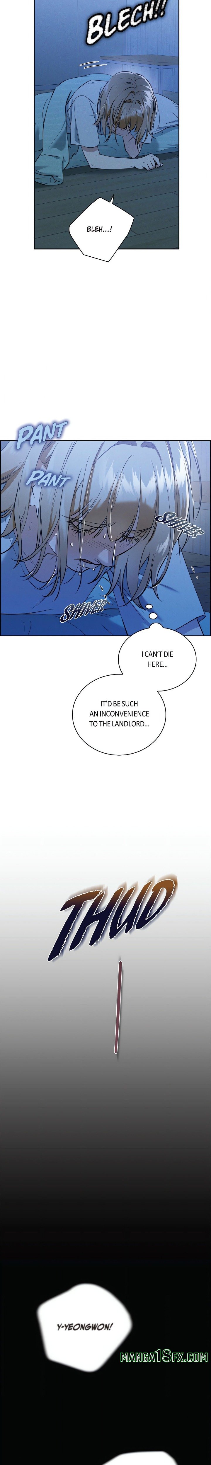 Falling (DOG) 7