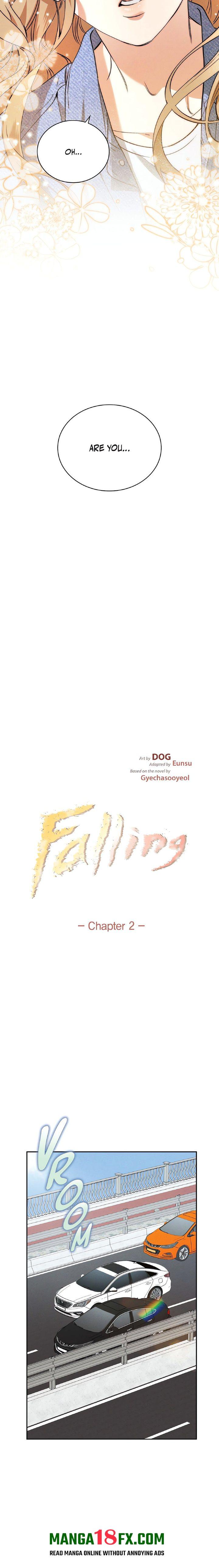 Falling (DOG) 5