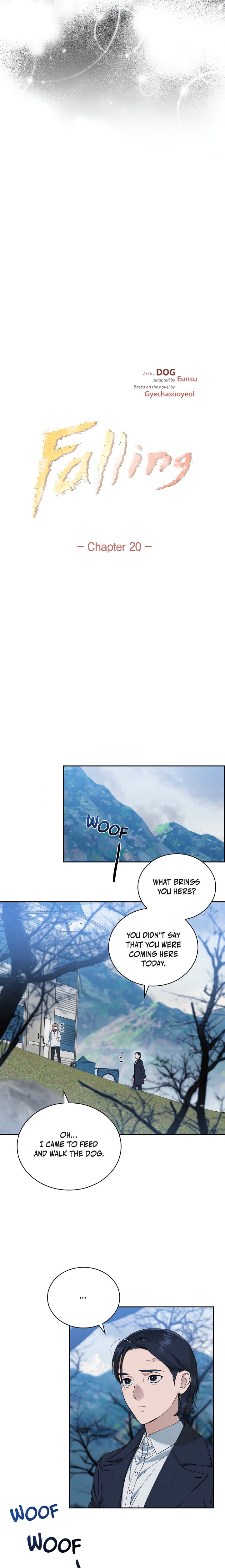Falling (DOG) 5