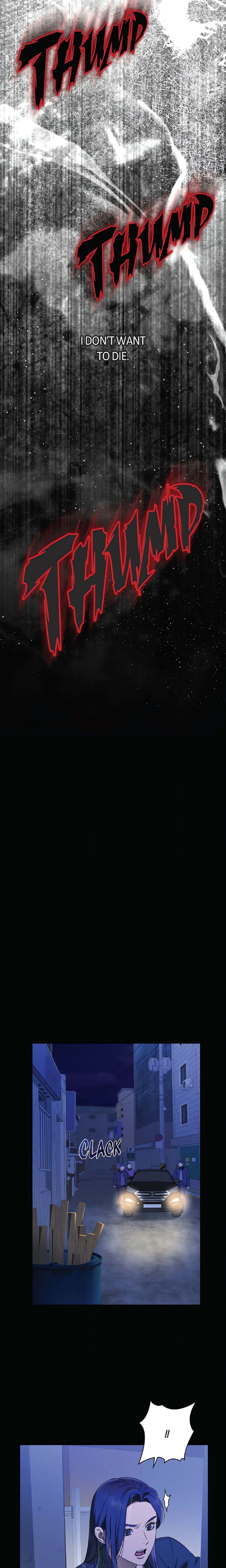 Falling (DOG) 8