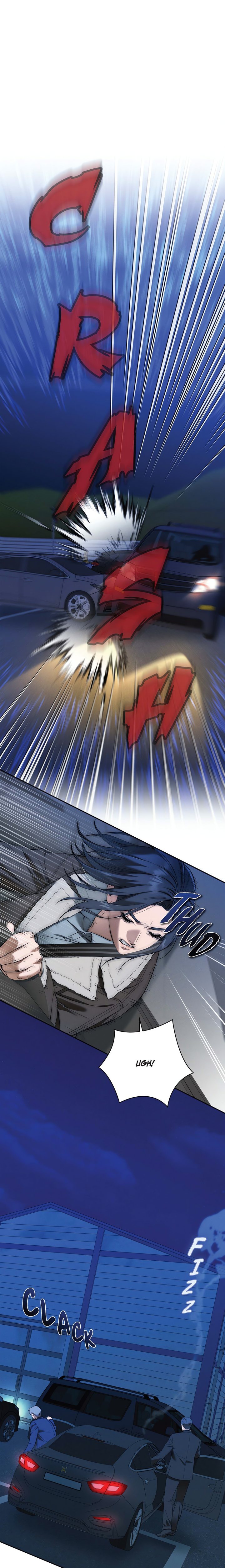 Falling (DOG) 1
