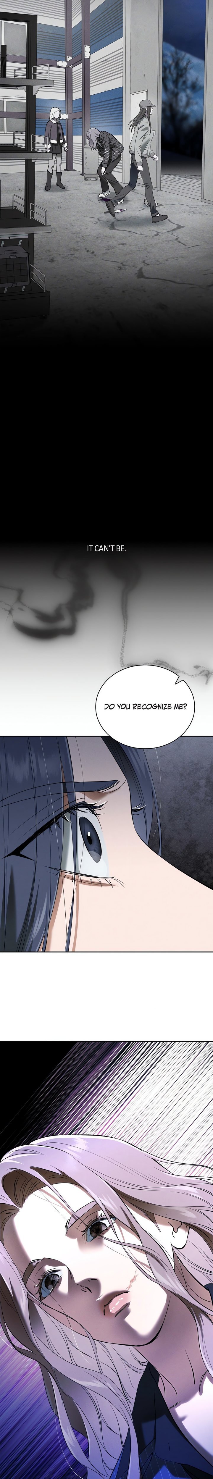 Falling (DOG) 18