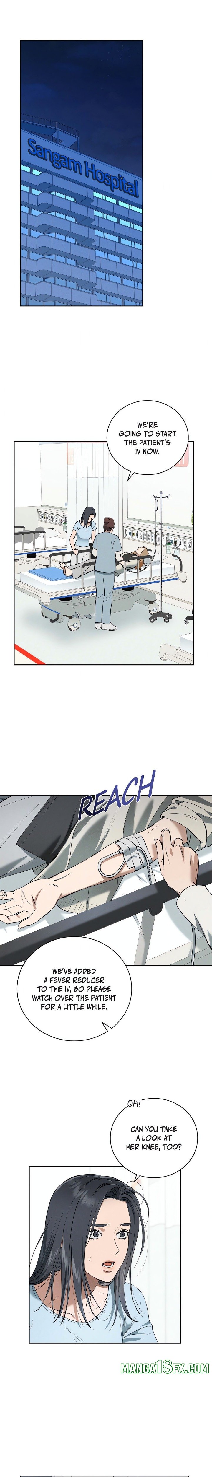 Falling (DOG) 8