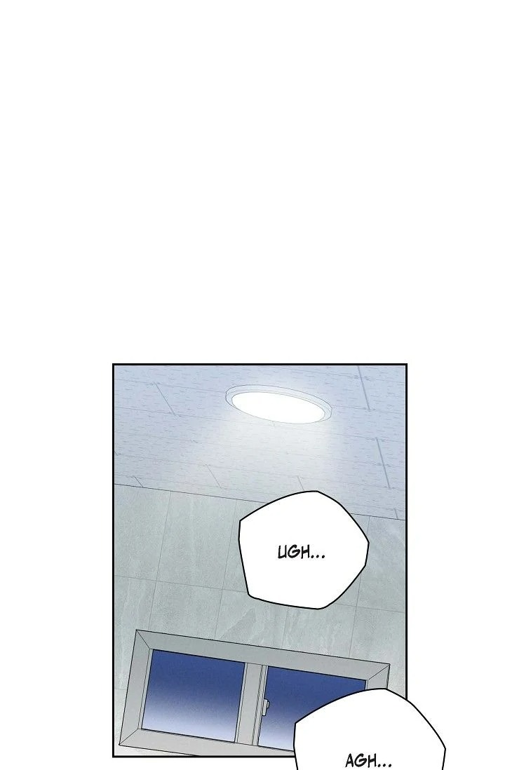 Falling (DOG) 1