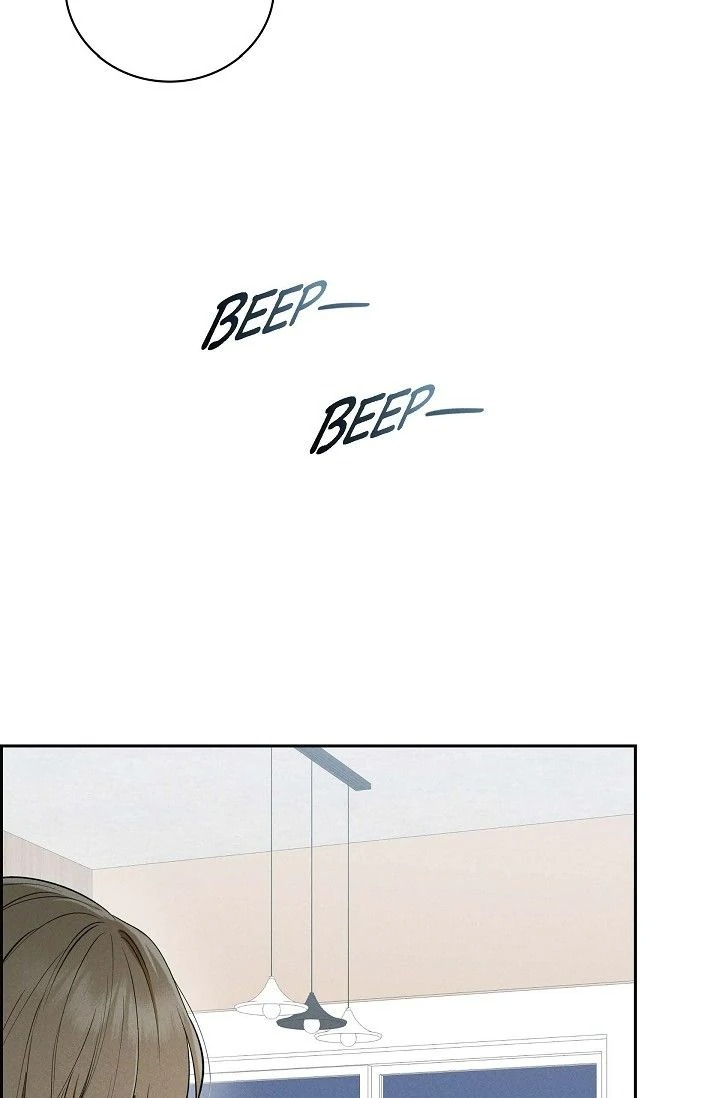 Falling (DOG) 48