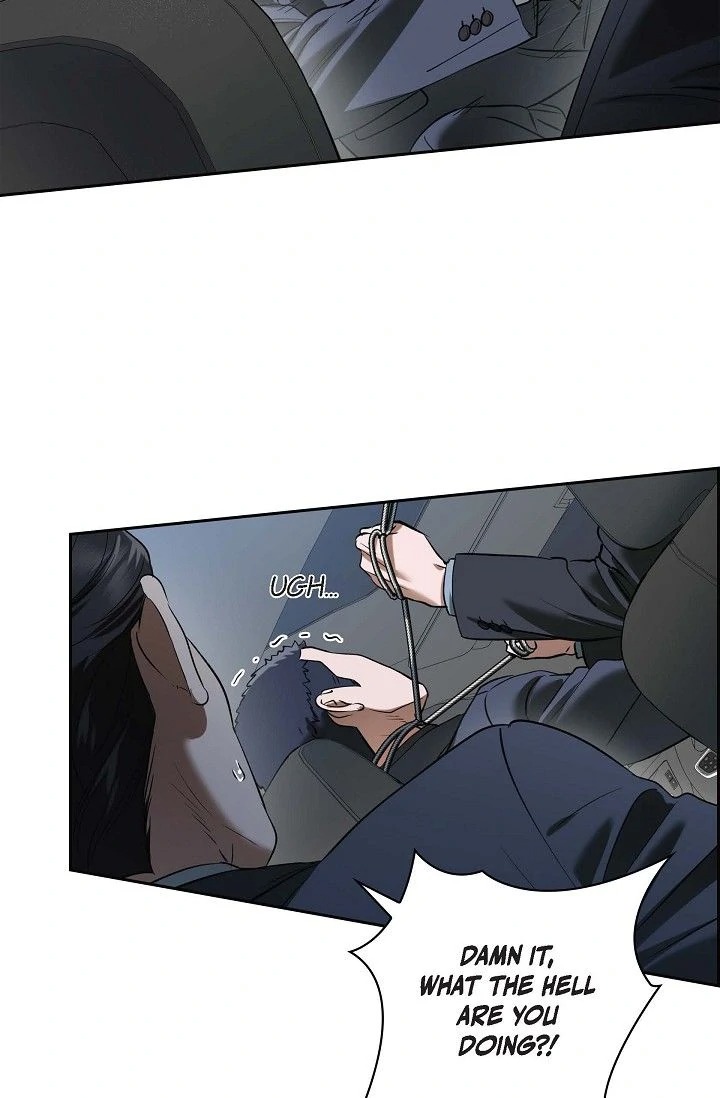 Falling (DOG) 25