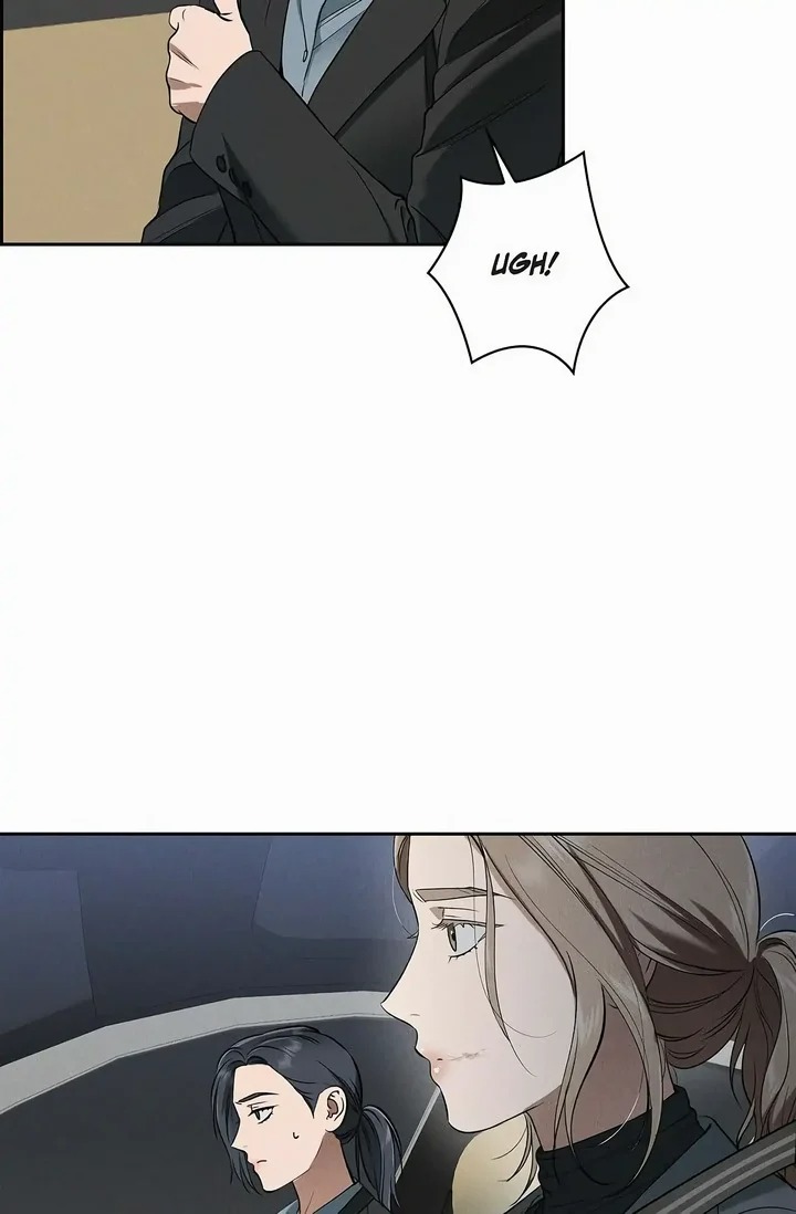 Falling (DOG) 8