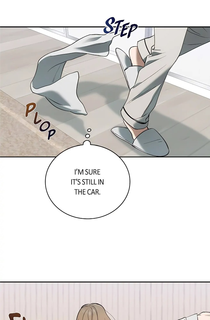 Falling (DOG) 11