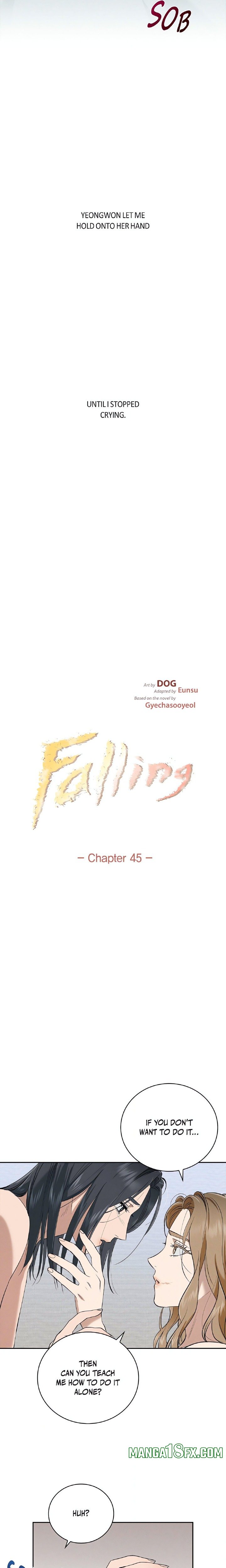 Falling (DOG) 3