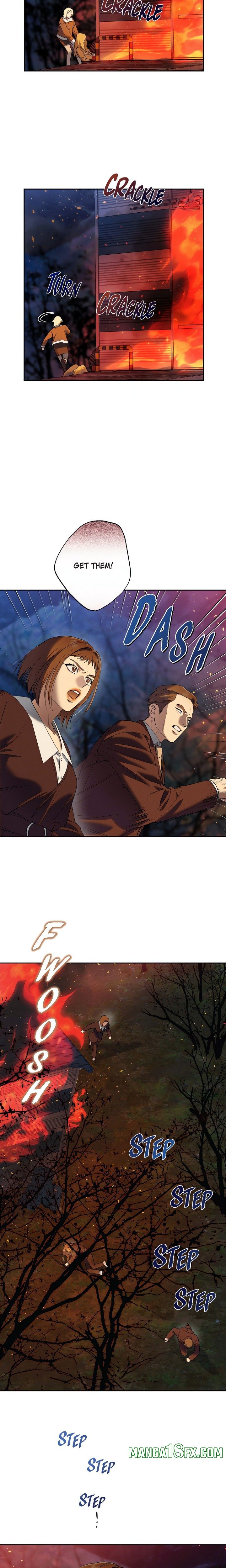 Falling (DOG) 11