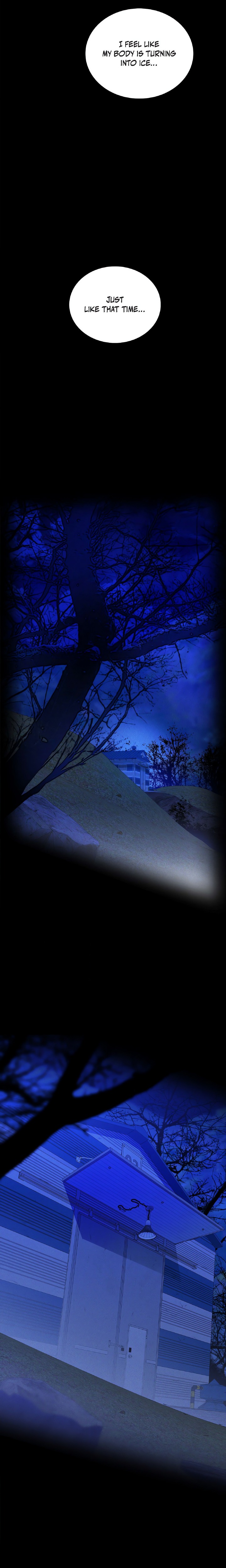 Falling (DOG) 19