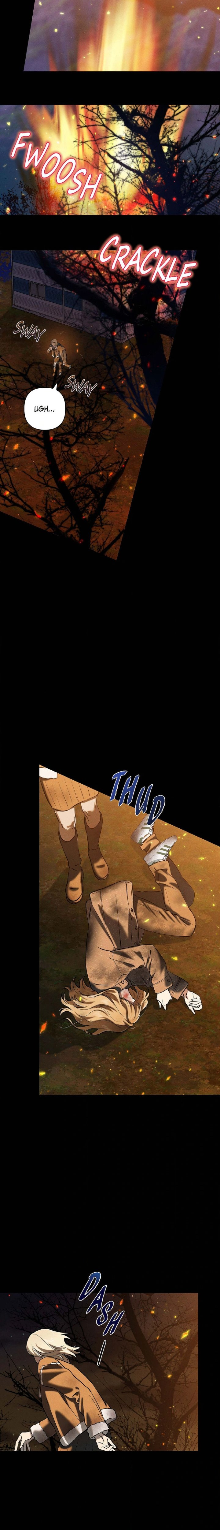 Falling (DOG) 10