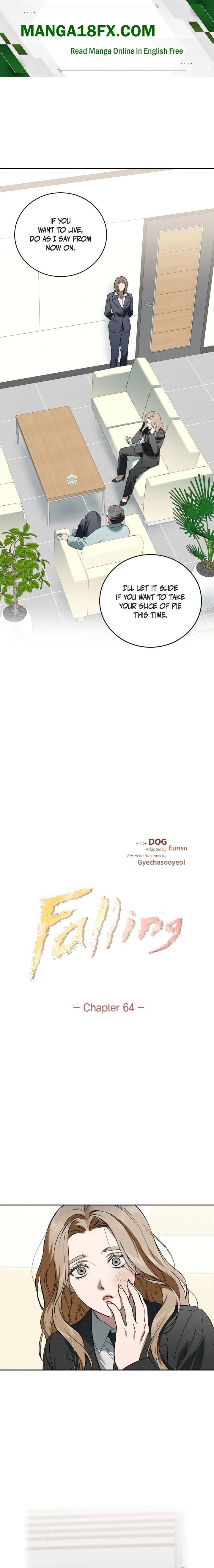 Falling (DOG) 1
