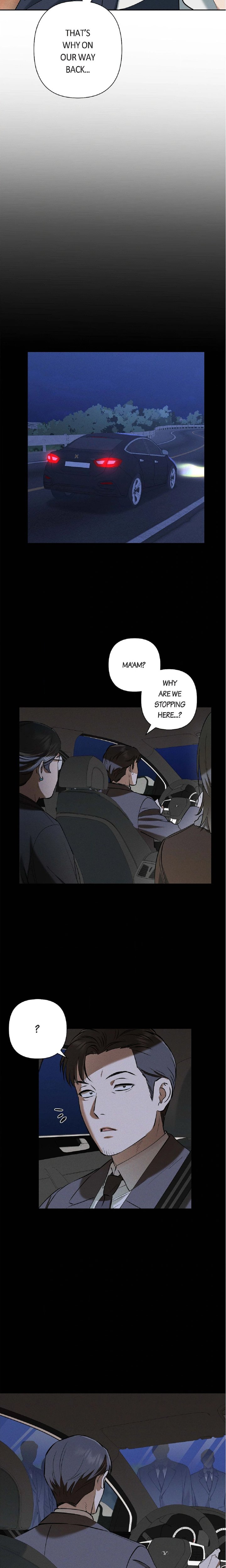 Falling (DOG) 15