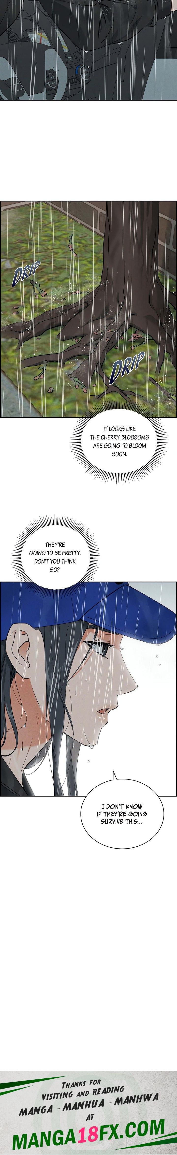 Falling (DOG) 24