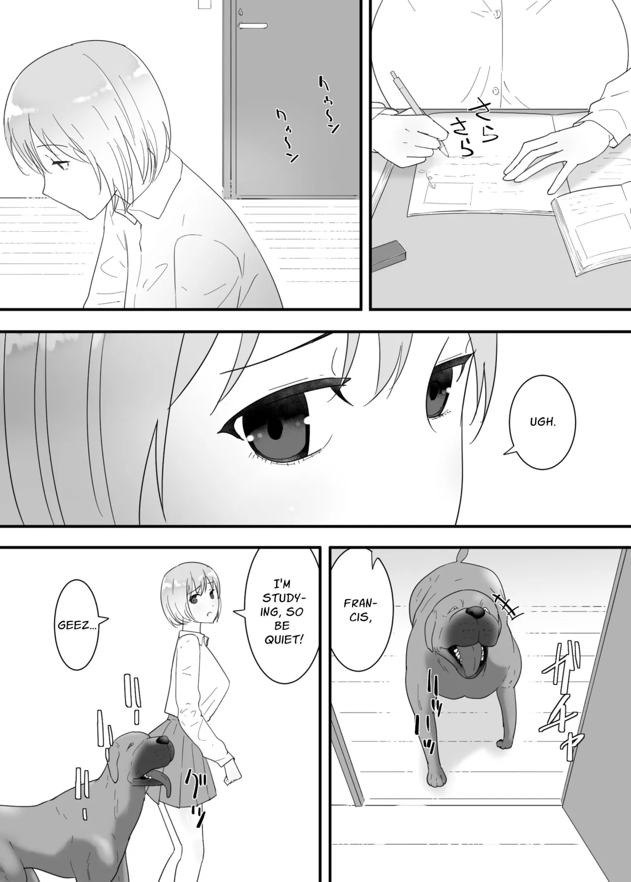 Francis wa Joshikousei ni Tanetsukeshitai! 13