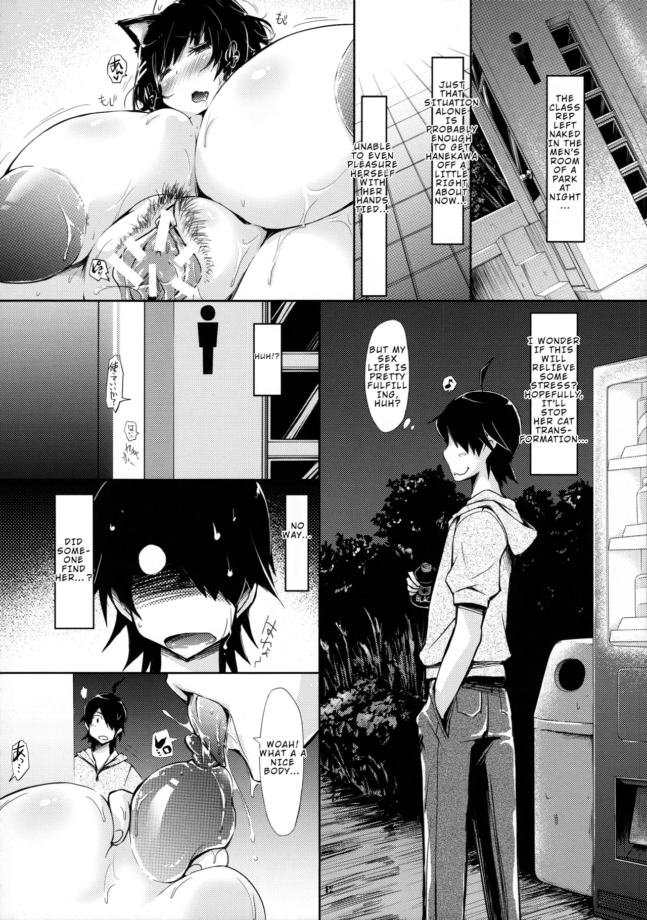 Hanekawa-san no Neko Manma 12