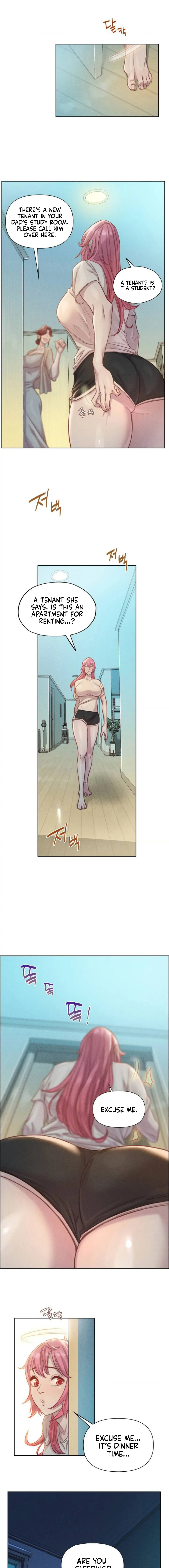 Harem Boy 15