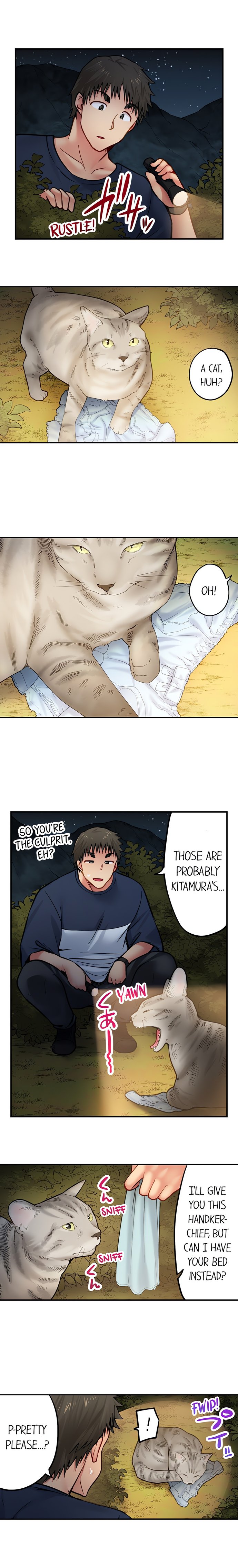 Harem Camp! 3