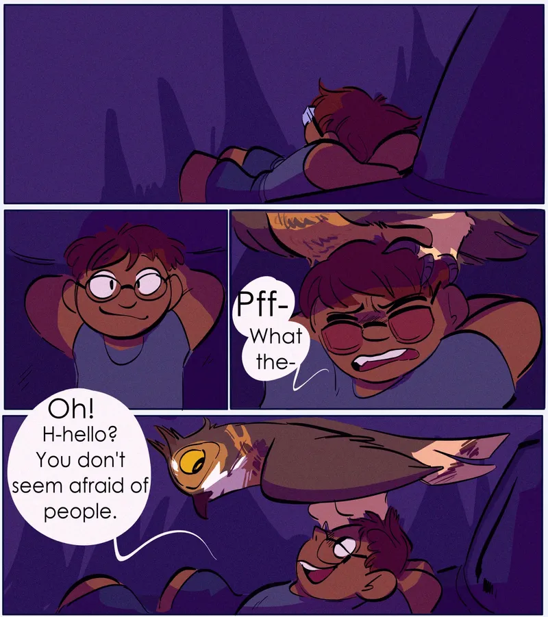 Hearing A Hoot For You 1
