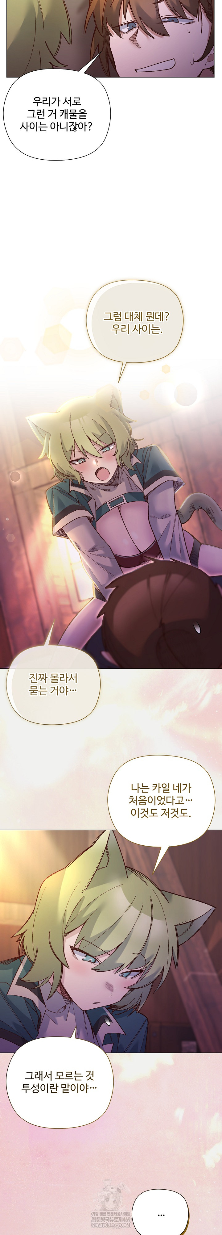 I Will Protect the Lady Raw 11